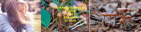 ALPHA-PVP Нефтекумск