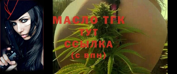 твердый Надым