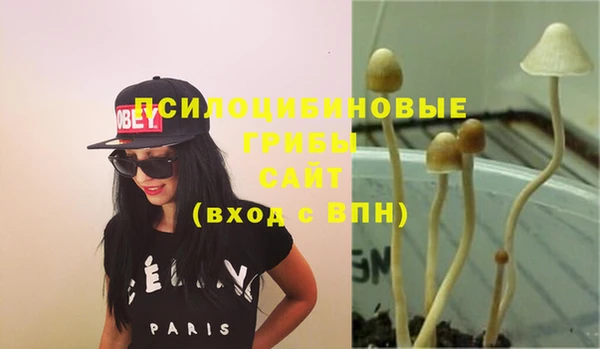 СК Нефтегорск