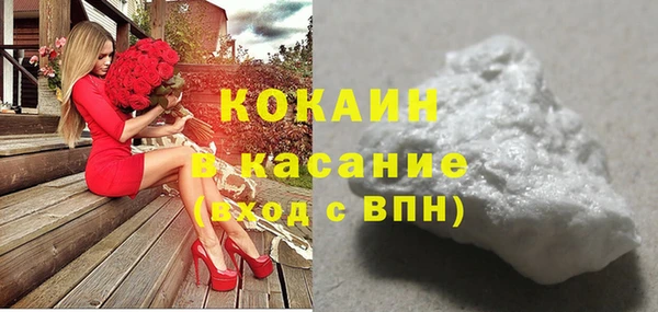твердый Надым