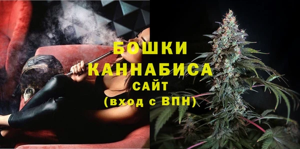 индика Навашино