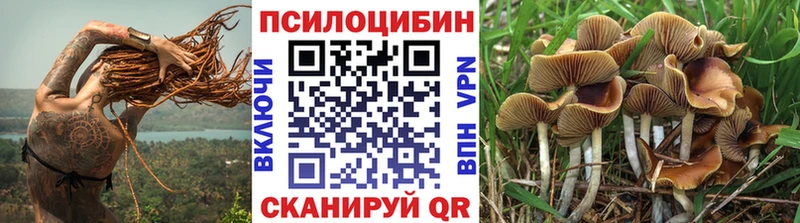 мега   закладки  Багратионовск  Галлюциногенные грибы мухоморы 